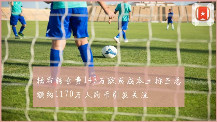 杨希转会费143万欧或成本土标王总额约1170万人民币引发关注